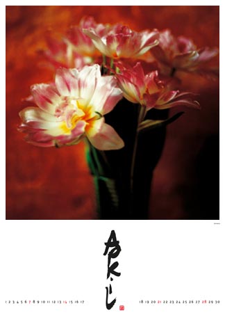 Kalender 2002 - Blumen