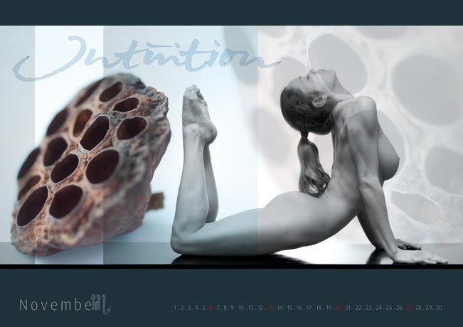 Kalender 2011