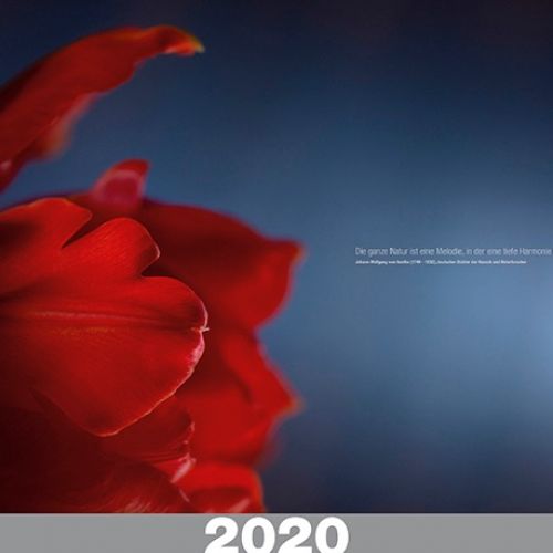 Blumenkalender 2020